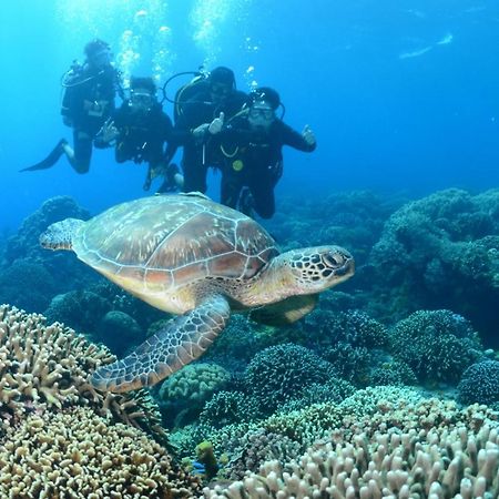 Shenanigans Glamping Resort Zamboanguita  エクステリア 写真