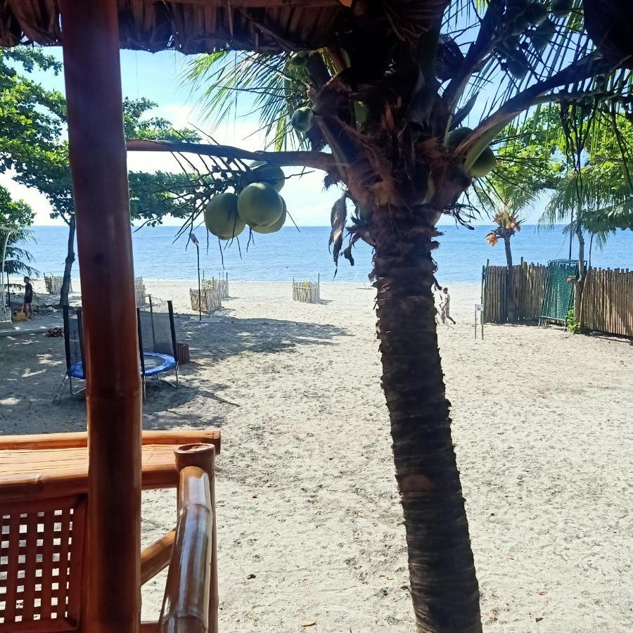 Shenanigans Glamping Resort Zamboanguita  エクステリア 写真